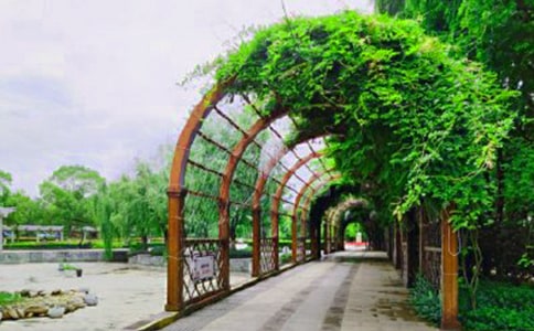 ��ع��@����