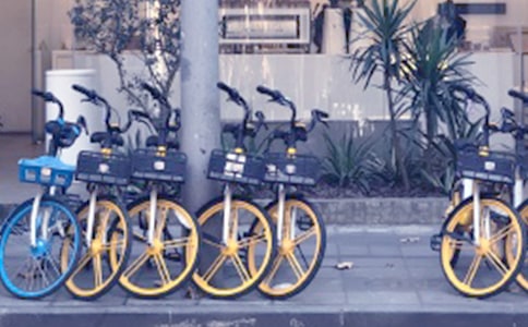 �����܇����[���]]