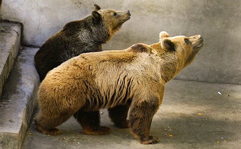 �R���ܹ��ܽ�B