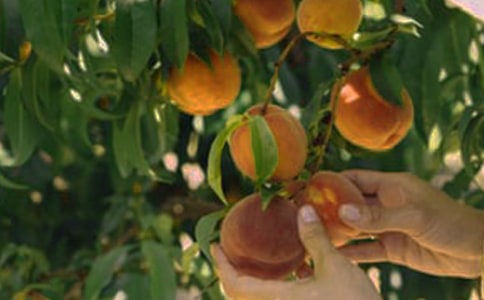 �r(n��ng)����@�����(sh��)�`��(b��o)��