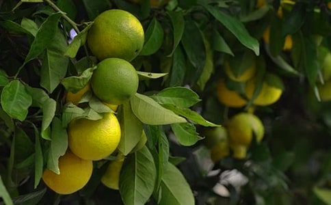 ���@�е�Ц����