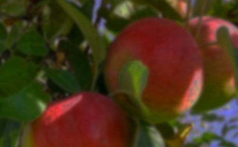 豐收的果園作文