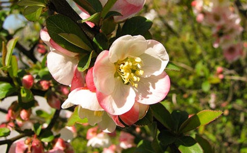 ���~��������Ԓ120��