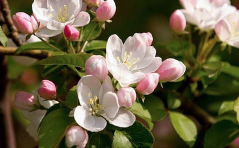 ���Ϻ��Ę䡷��xԭ�ļ���(2)