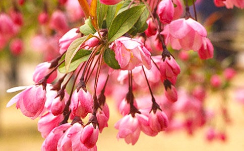 ���~�����^����ĵ�