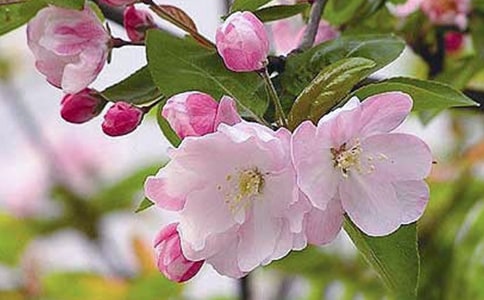 �����~�����ġ���(j��ng)���_(t��i)�~