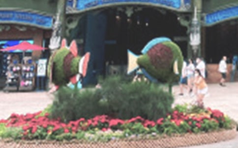 �ϻ������󹫈@���ģ�ͨ��16ƪ��