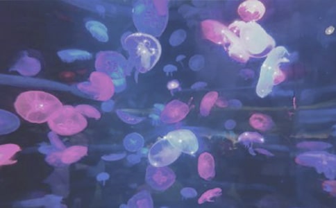 ����ۺ��󹫈@��(y��u)������600��