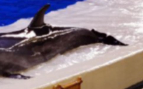 �x���{(l��n)ɫ�ĺ����u���и�