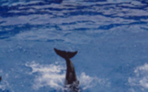 (��)���������24ƪ