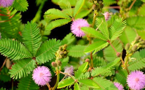 ���߲�����