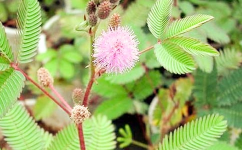 ���߲�����11ƪ[���T(m��n)]