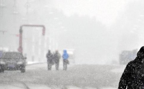 預(yù)防寒潮方案(精選5篇)