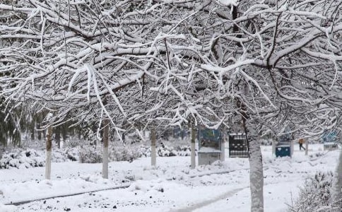 寒潮施工方案(通用13篇)