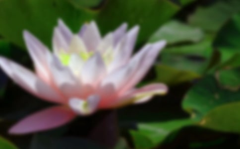 �ɻ����茑��(y��u)��Ԋ��