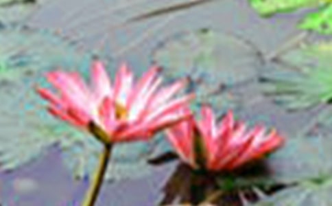 ���ɻ����̌W(xu��)��(sh��)�