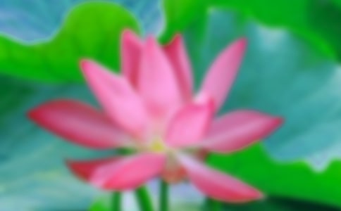 ����һ��ɻ��_(k��i)ɢ��