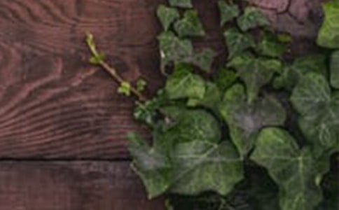 ���C�����P(gu��n)ϵ֮��Ҋ