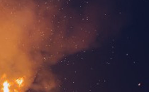 ��(zh��n)�ٺ�ҹ����