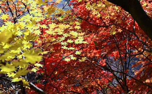 �t�~ٝ����