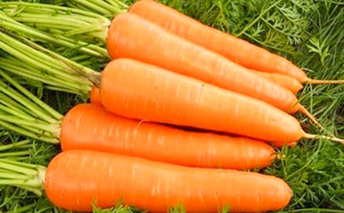 �׷N��Ҫ���}����Ʒ�ļӹ����g(sh��)