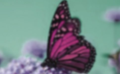 �P(gu��n)�ں�����Ԋ������Щ���P(gu��n)�ں�����Ԋ��