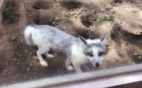 С��؂����(qu��n)�x���