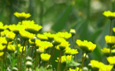 �_��ӛ����̎�Ļ�������15ƪ(��)