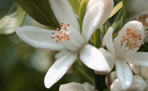 �_�����еĻ������ļ���15ƪ