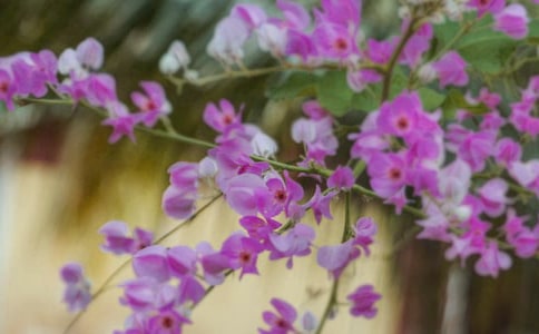 �����A���_�����еĻ�������