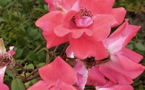 ����Ļ�������