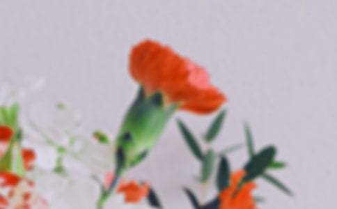 �۵Ļ�������