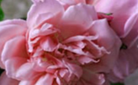 (����)�_��ӛ����̎�Ļ���15ƪ