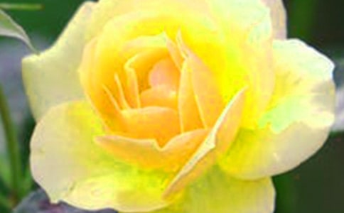 �_������Ļ�������