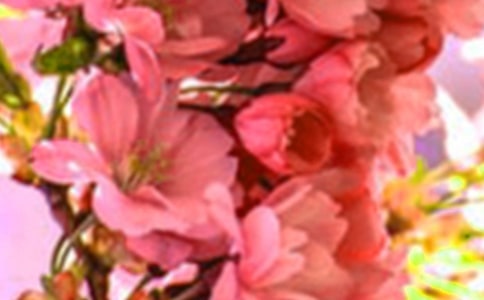 �������ľ`������