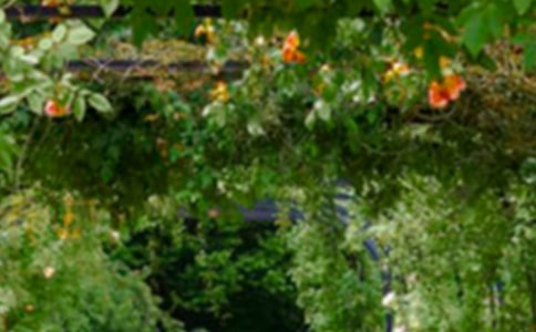 (���])�ҼҵĻ��@����