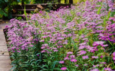 �����˵Ļ��@���x��У����T��