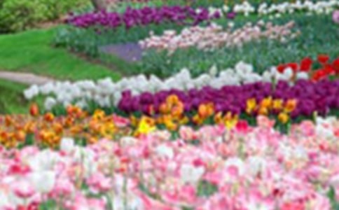 С���@���ġ����\15ƪ��