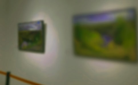 畫(huà)展的個(gè)人觀后感