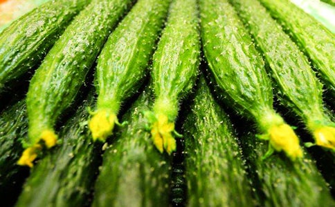 �S�ϵ���������[ͨ��8ƪ]