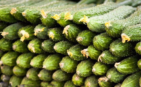 �S�ϵ����ļ��ϡ�15ƪ��