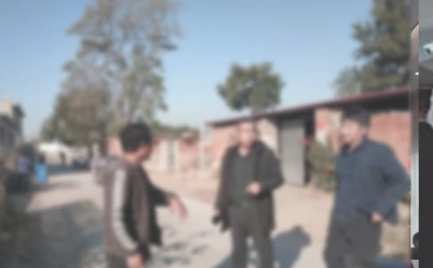 �l(xi��ng)�(zh��n)���Ӹɲ����������