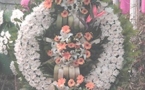 С�W(xu��)������Ӣ�Ҽ��Z(y��)220��