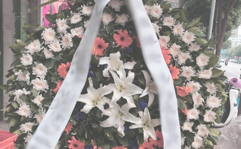 ������ʿ����