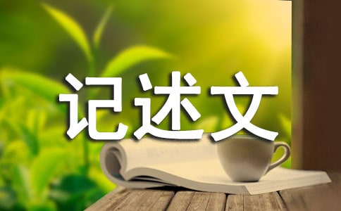 標(biāo)準(zhǔn)文章范文 高中優(yōu)秀作文記述文