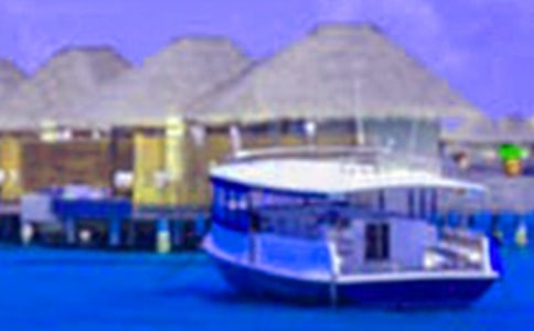 �����ڡ�_��������