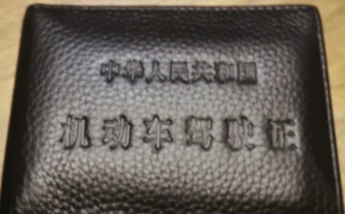 �{�տƶ����켼��