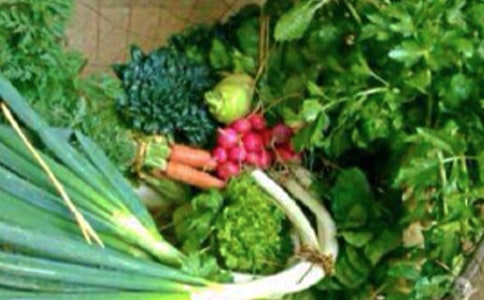 ף�������w����ף���Z��ȫ