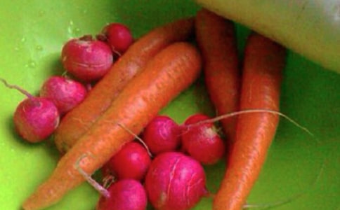 ��򽡿��C��