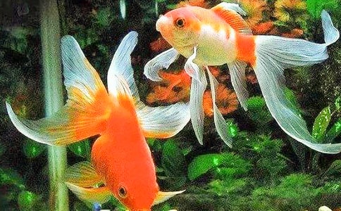 �ҵ�С���~(y��)